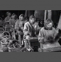 Pomodori secchi e basilico. Un racconto di Lucia Atzori