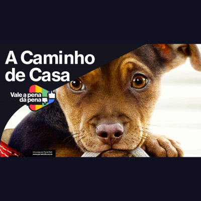 Vale a Pena ou Dá Pena