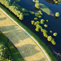 Micronazioni nel mondo: Liberland. 