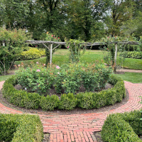 Bk. 1, Pt. 1, Ch. 4: Political Talk Heats Up Pierre  the Confidence of Youth