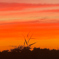 Bonus: Look Up Beyond the Vanity