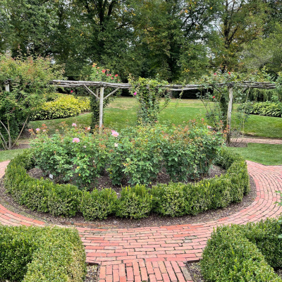 War  Peace Podnotes, A Study Guide