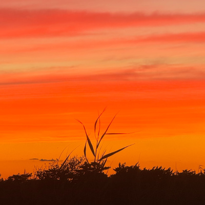 War  Peace Podnotes, A Study Guide