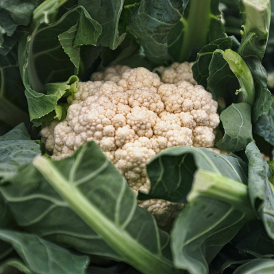 Wat Schaft de Podcast