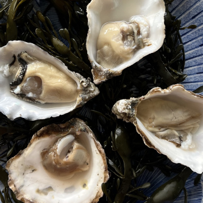 Wat Schaft de Podcast