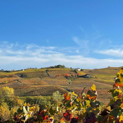 Wat Schaft de Podcast