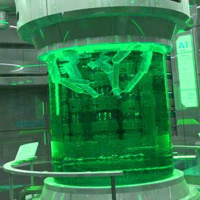 Soru Cevap - Bir Ruhşen Doğan Nar Öyküsü