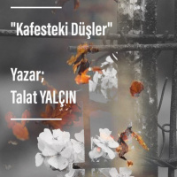 Kafesteki Düşler - Seslendiren Yalçın Altın