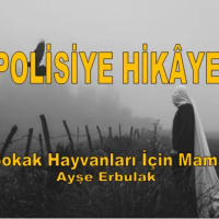 Sokak Hayvanları İçin Mama - Bir Ayşe Erbulak Öyküsü