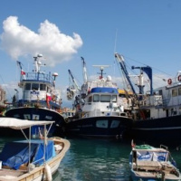 Hayat - Bir M. Yaşar Dilsiz Öyküsü