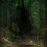 AĞAÇ - HOWARD PIHLLIPS LOVECRAFT - SESLİ ŞİİR