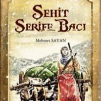 Şehit Şerife Bacı Seslendiren Yalçın Altın