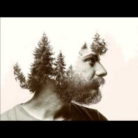 Yetenekli Bay Haydar - Bir Reha Avkıran Öyküsü