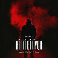 Bitti Bitiyor- Bir Turgut Şişman Polisiyesi