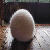 Kıllı Yumurta - Seslendiren Yalçın Altın