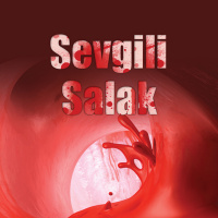 Sevgili Salak- Bir Aşkın Güngör Romanı 1. Bölüm