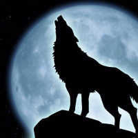 Börü 3 - Kurt Yangını