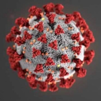 C19 Yazan - Faruk Korkmaz