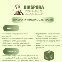 Diaspora Insurance - Ruth Masanyinga Interview - ZASA Magazine