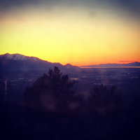 A sneak peak at YOUR 2021