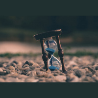 Things to Do in 2020