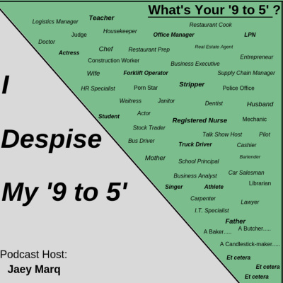 I Despise My 9 to 5s Podcast
