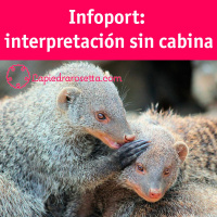 Infoport: interpretación sin cabina
