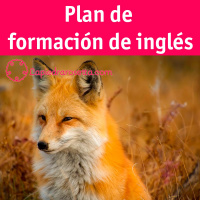 Plan de formación de inglés