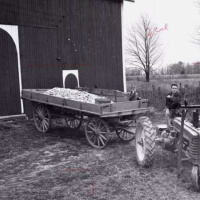 The Ned Garver Story - Farm Boy From Ney, OH - 1950s Major League Baseball Star 