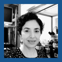 Following the Passion of Research with Mariana Vargas-Caballero