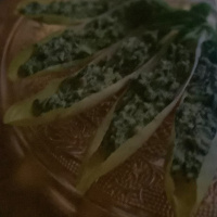 Feuilles d’hiver et tartinade de mâche aux noix