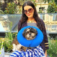 Vive les moustiques : Natexpo salo du Bio à 360°