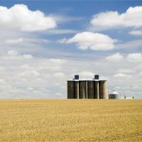 Will SE Asia Look for AU Wheat and Barley in 2020/21?