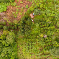 Rabobank’s Project Acorn and the Benefit for Smallholder Farmers