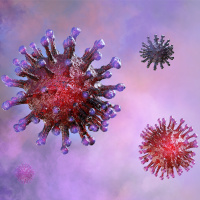 Slow Recovery: Coronavirus Will Extend the Feed-Demand Hangover