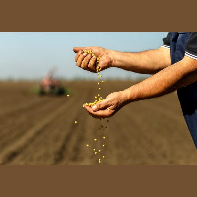 RaboResearch Food  Agribusiness Asia