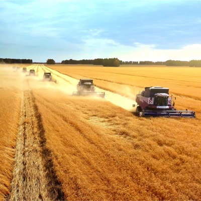 RaboResearch Food  Agribusiness Asia