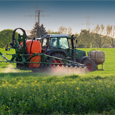 RaboResearch Food  Agribusiness Asia