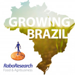 RaboResearch Food  Agribusiness Brazil
