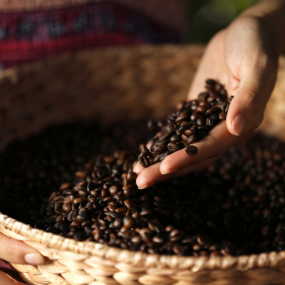 RaboResearch Food  Agribusiness Brazil