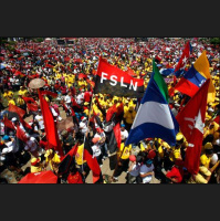 Sandinista Revolution: National Liberation in Nicaragua