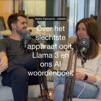 S06E09 - Over het slechtste apparaat ooit, Llama 3 en ons AI woordenboek
