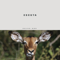 Aprendendo a Escutar