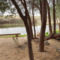 ฟังฝ่าวิกฤต EP7 : Wow moment จากทริป Johannesburg