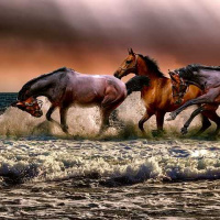 ความสำเร็จบนโลกนี้ เกิดขึ้น 3 ครั้งเสมอ