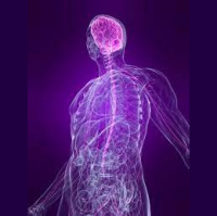 A secret weapon and a real journey into the nervous system