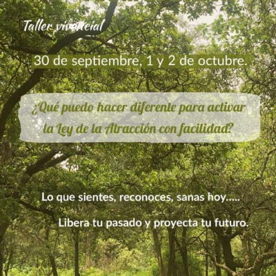 Wake Up Tea Riqueza Consciente