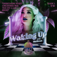 88: UNDERSTANDING POVERTY CONSCIOUSNESS: MORE THAN JUST A LACK MINDSET