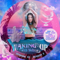 44: HOW TO GROW YOUR SOUL BUSINESS  STEP INTO LEADERSHIP