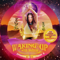 35: THE THREE PRINCIPLES OF ABUNDANCE